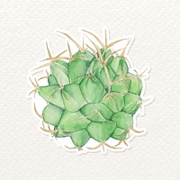 Mexican pincushion cactus watercolor sticker vector