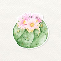 Sand dollar cactus watercolor sticker vector