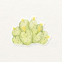 Dwarf perennial cactus watercolor sticker vector