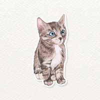 Hand drawn kitty sticker vector