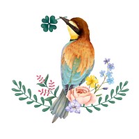 Bird bee eater watercolor floral illustration hand drawn
