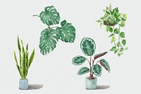 Tropical watercolor plant psd botanical set
