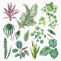 Watercolor tropical leaf vector set