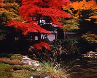 Garden, Kyoto, Japan, location unrecorded but believed to be Nanzenji. Original public domain image from Wikimedia Commons