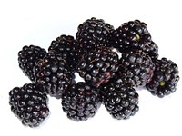 Blackberries. Original public domain image from <a href="https://commons.wikimedia.org/wiki/File:Blackberries_by_feiern1.jpg" target="_blank" rel="noopener noreferrer nofollow">Wikimedia Commons</a>