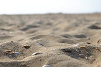 Sand On Beach. Original public domain image from <a href="https://commons.wikimedia.org/wiki/File:Sand_On_Beach_(228163437).jpeg" target="_blank">Wikimedia Commons</a>
