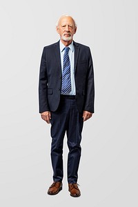 Businessman adult portrait occupation concept