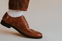 Men&#39;s leg in brown leather shoes