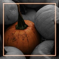Halloween pumpkin background with neon frame