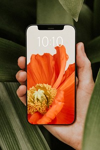 Phone screen mockup, botanical design psd