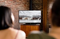 Couple watching horses on TV screen