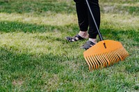 Closeup of woman raking her backyard