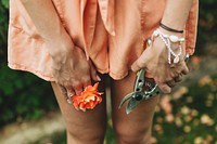 Woman with an orange rose and a gardening scissors