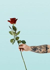 Tattooed hand with a rose 