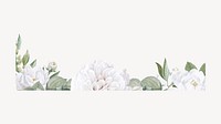 Botanical illustration vintage border design element vector