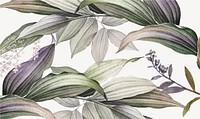 Botanical illustration vintage frame design element vector