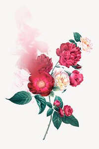 Pink rose watercolor collage element vector