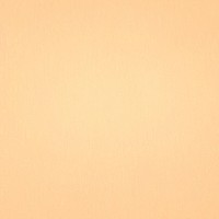 Cute orange pastel background