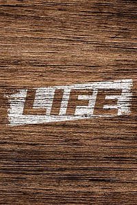 Wood texture life word bold italic typography printed lettering