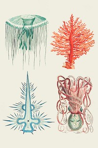Vintage sea animals vector colorful stickers set