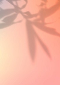Peach shadow aesthetic background with blank space