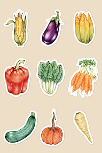 Fresh vegetable psd illustration botanical hand drawn collection