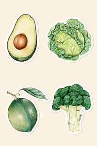 Organic food psd vegetables drawing illustration mixed