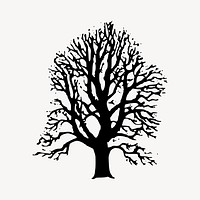 Tree black & white illustration. Free public domain CC0 image.