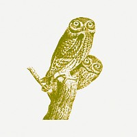 Owls collage element psd. Free public domain CC0 image.