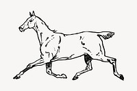 Horse clipart vector. Free public domain CC0 image.