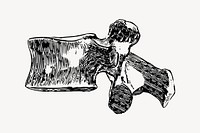 Lumbar spine clipart, illustration vector. Free public domain CC0 image.