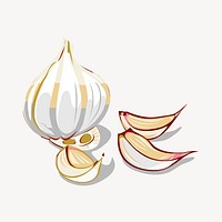 Garlic illustration. Free public domain CC0 image.