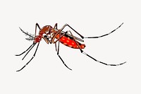 Mosquito illustration. Free public domain CC0 image.