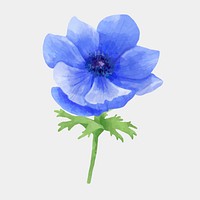 Blue flower hand drawn vector floral clipart