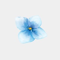 Blooming blue flower psd watercolor clipart