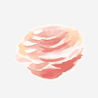 Classic pink peony psd hand drawn watercolor flower