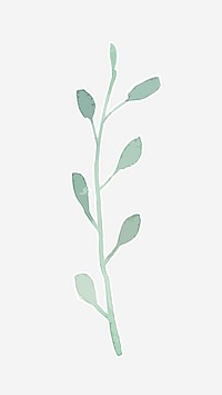 Green plant psd watercolor decorative sticker