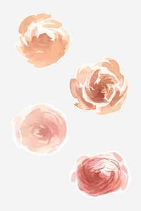 Rose and peony psd vintage watercolor sticker set