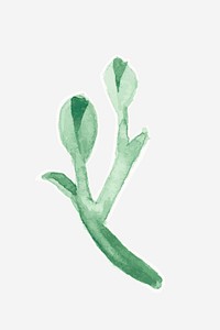 Classic green plant hand drawn watercolor decoration