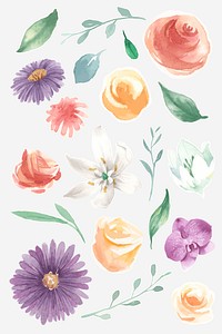 Watercolor blooming flowers vector set