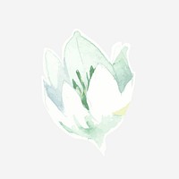 Watercolor white lily psd hand drawn sticker element 