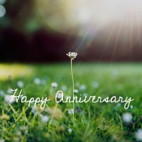 Congrats anniversary celebrate wish words on flower background