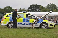 Police dog show, June 19, 2019, Cheshire, UK. Original public domain image from Flickr