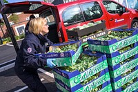 Woman carrying cauliflower boxes, May 4, 2020, UK. Original public domain image from Flickr