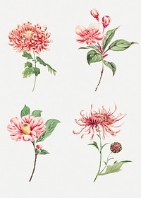 Vintage Japanese pink flower psd art print set, remix from artworks by Megata Morikaga