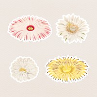Vintage cactus flower sticker with white border collection