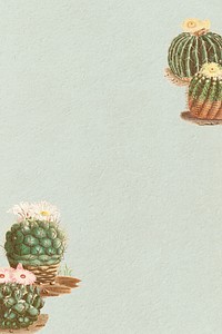 Vintage green cactus with flower on paper texture background design element