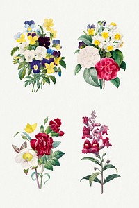 Flower botanical psd art print set, remixed from artworks by Pierre-Joseph Redout&eacute;