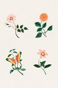 Vintage flower set illustration