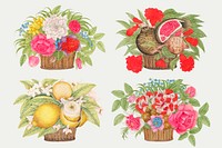 Vintage basket of flowers and fruits vector illustration set, remixed from the 18th-century artworks from the Smithsonian archive.